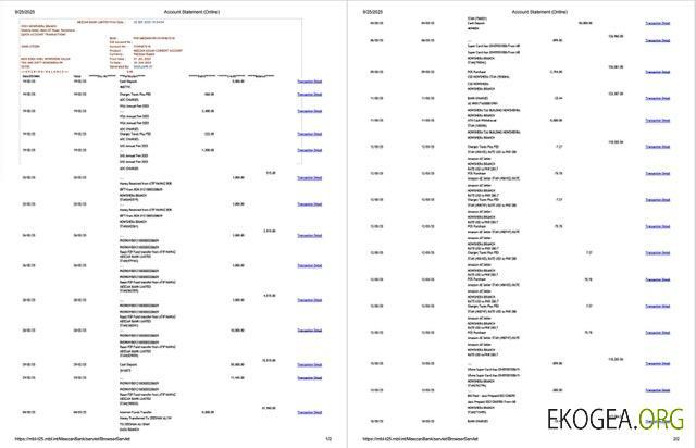 Pakistan Meezan Bank Limited relevé de compte Modèle Word et PDF, 2 pages